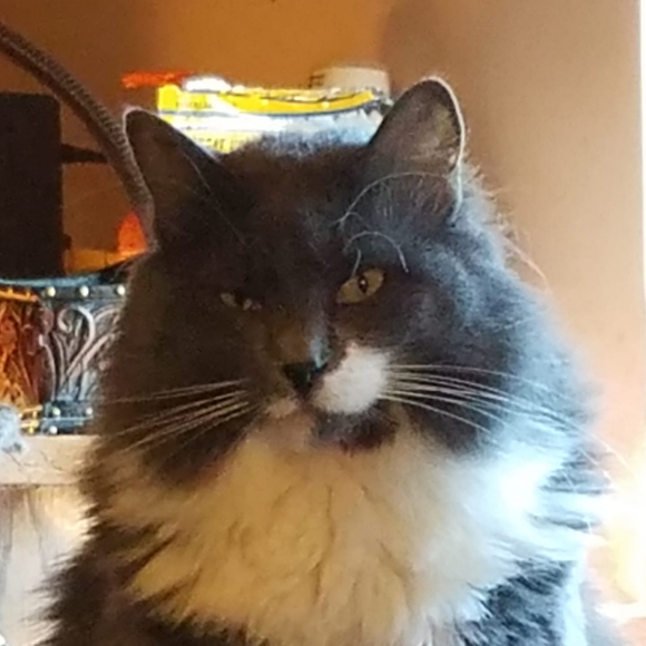 bonnie0228